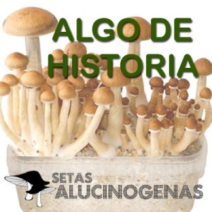 Hongos alucinogenos algo de historía.