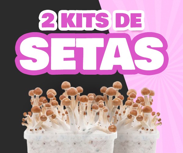 OFERTA 2X55 KIT SETAS