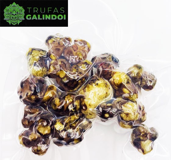 Trufas Magicas Galindoi