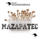 venta oline kit setas mazatapec