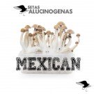 venta oline kit setas mexican
