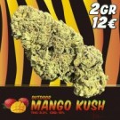 Mango Kush Indoor CBD