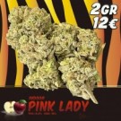 Pink Lady Indoor CBD