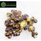 Trufas Magicas Galindoi