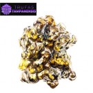 Trufas Magicas Tampanensis