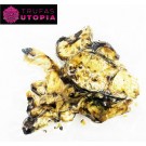 2X1 Trufas Magicas Utopia