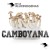Comprar Kit Setas Camboyanas 100% Micelio