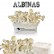 pan de setas albinas