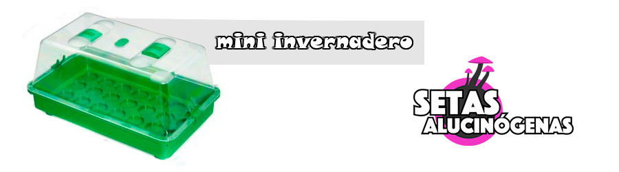 Mini invernadero sin calefacción