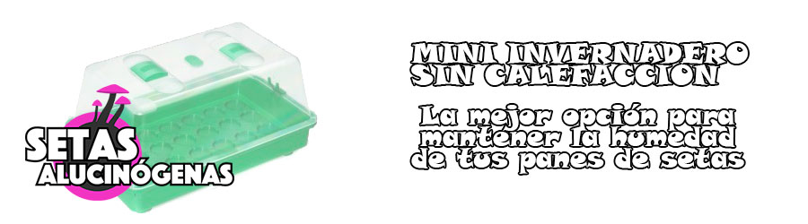 Mini invernadero para mantener la humedad